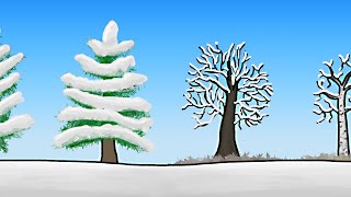 Как зимуют деревья? [Минутка Земли]