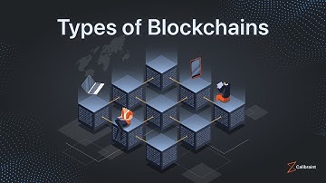 Types of Blockchains - Explained under 120 seconds 🌎 | Blockchain Development Company | #calibraint
