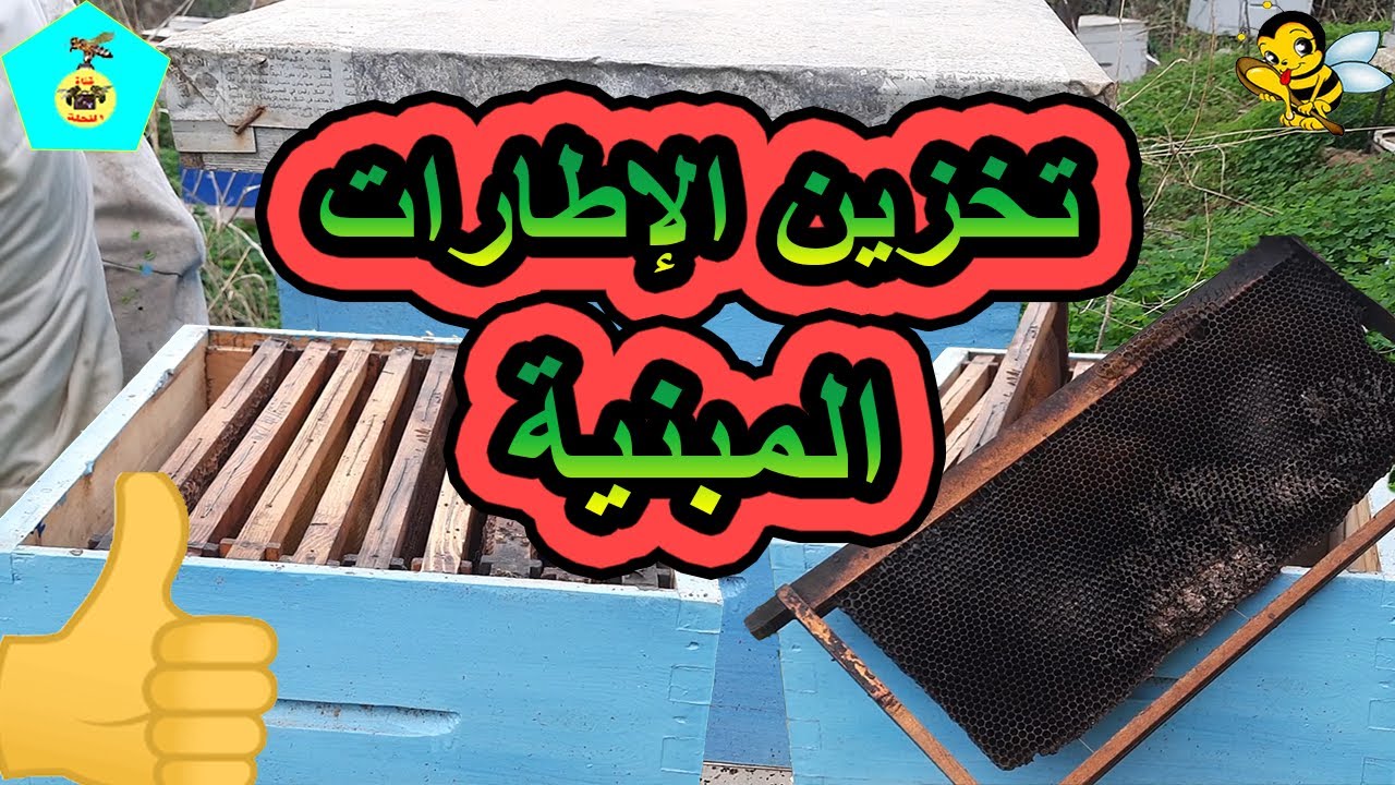 طريقة تخزين الإطارات المبنية في المنحل