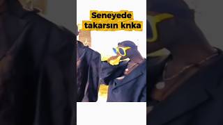 Seneyede Giyersin Knka