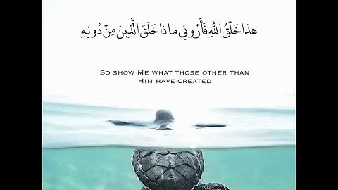 تلاوة خاشعة ||وأنزلنا من السماء ماء فأنبتنا فيها من كل زوج كريم||حالات واتس اب قرأن|| Quran Status💙