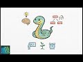 Which Language Should You Learn for DSA? | Python vs C++ vs Java