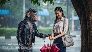 [MV] เหตุผล - BlackHead [Cover] By Brutal Monkey Brand [ลิงร็อค]