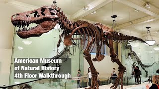 American Museum of Natural History - Walkthrough Part 4 / 4th Floor