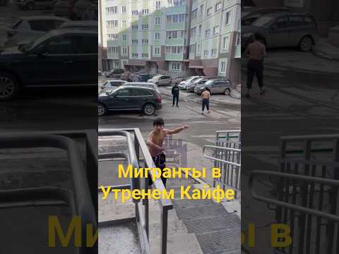 ТАДЖИКИ УТРОМ ПОД КАЙФОМ. НЕ СНИМАЙ МИНЭ.. #СОЛЬ #БУХЛО #МИГРАНТЫ