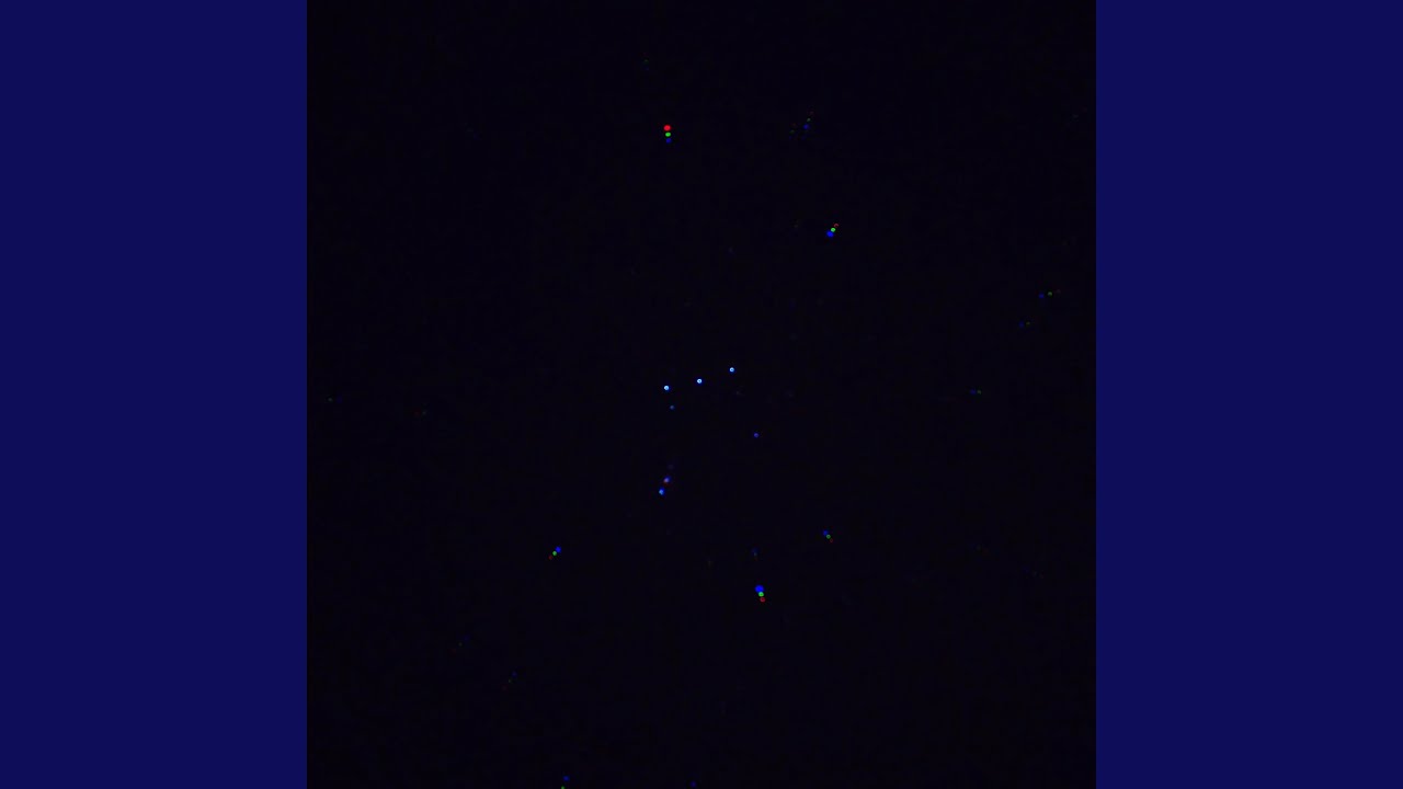 Watch Orion on YouTube Watch Orion on YouTube