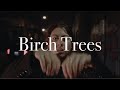 Handsome Ghost - Birch Trees (Official Video)