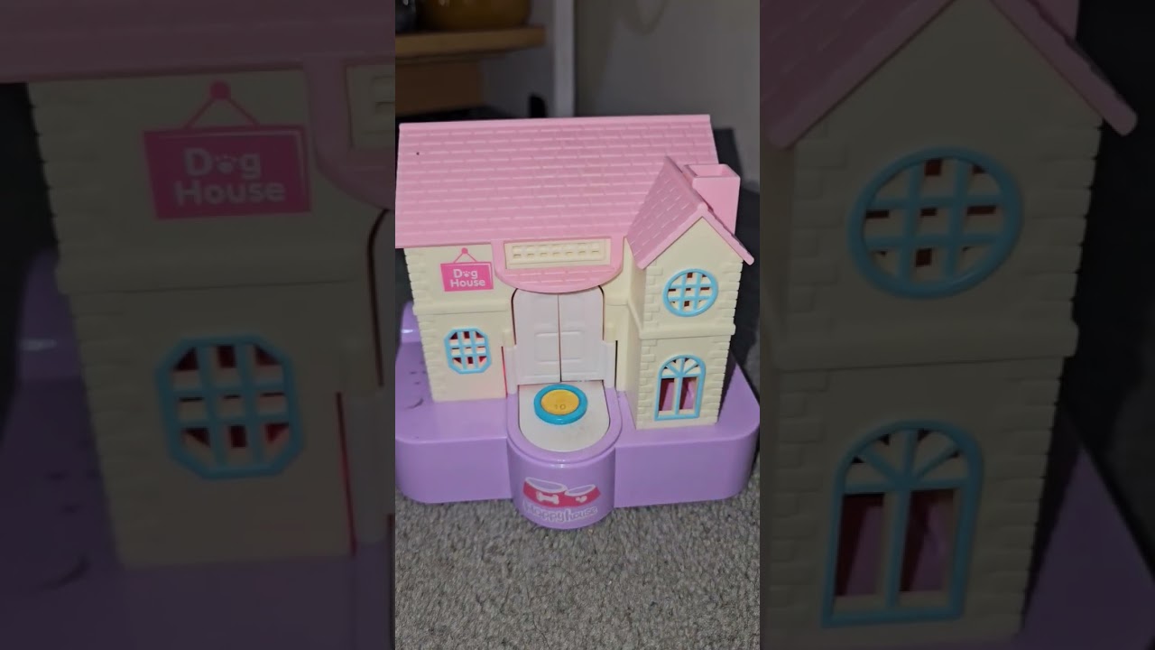 RICH PUPPY HOUSE HIDING MY COINS 