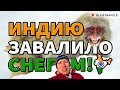 СНЕЖНЫЕ ОБЕЗЬЯНЫ В ГИМАЛАЯХ | КАШМИР, ИНДИЯ | Индия 2023 | Выпуск 04