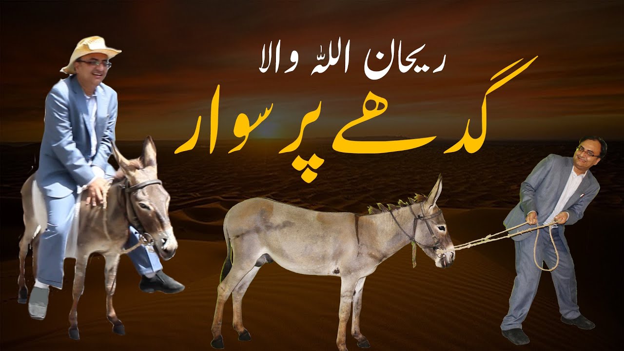 Thumbnail for Rehan Allahwala Riding On Donkey | یحان اللہ والا  گدھے پر سوار