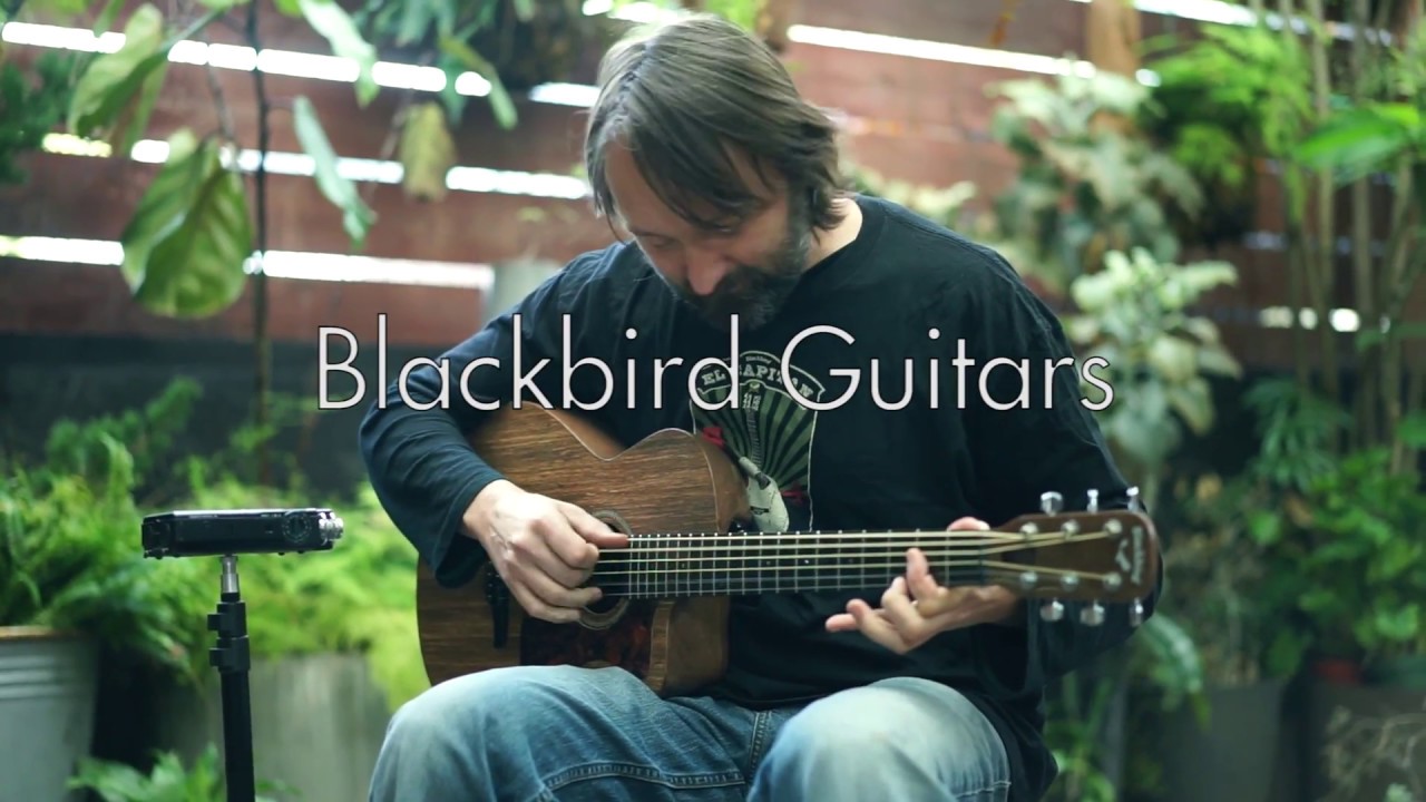 Introducing the Blackbird Savoy YouTube