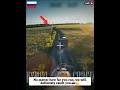 Very Crazy Maneuvers Of A Little mosquito At Close | Part 7 #shortvideo #shortsfeed