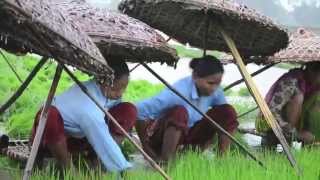 Got Rice? Subsistence Rice farming in Rural Nepal