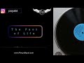 The Fact of Life - Pouya Bayat