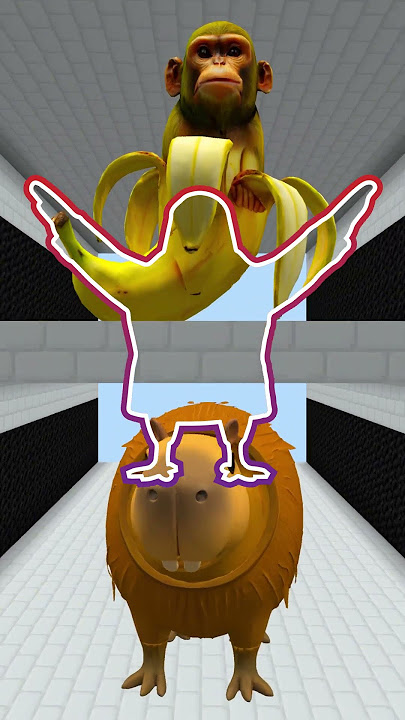 CAN YOU CATCH ORCALERO ORCALA TUNG TUNG TUNG SAHUR LIRILI LARILA TRIPPI TROPPI RAP SONG Garrys Mod