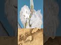 How the Phoenix King Colonized Ind, the Lands of Tigermen