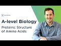 Proteins: Structure of Amino Acids | A-level Biology | OCR, AQA, Edexcel