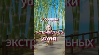 карта: Disaster Janitor (уборщик катастрофы) #роблокс #блокс #roblox #rblx #игры #обзоригры