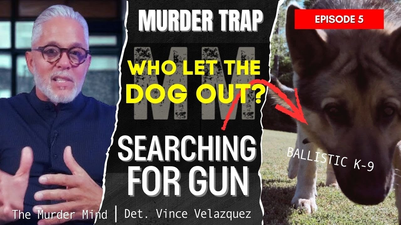 I Tracked Him Down at a Taxi Hub — The Jamaican, the Phone Records, and a Bouldercrest Murder