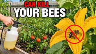 5 Organic Pest Sprays Ranked (One Can Kill Your Bees)