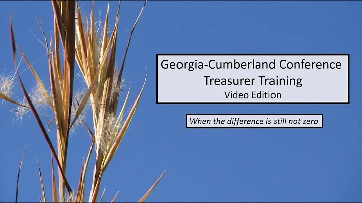 Treasurer Training - 6.9 - Bank Reconciliations - When the Difference is Still Not Zero