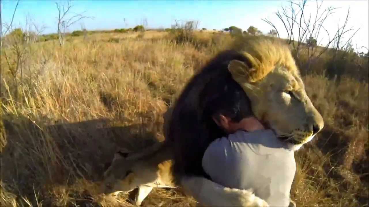 Humans and animals love - YouTube