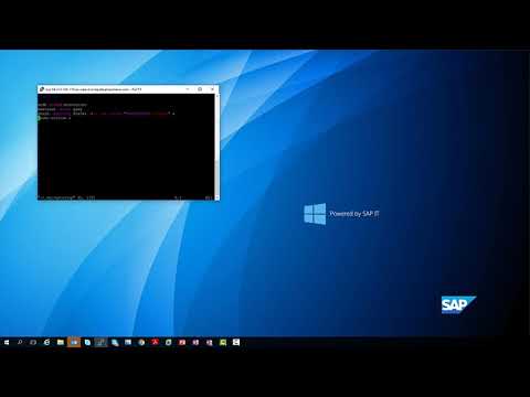 SAP Business One for SAP HANA Administration Enable VNC access on Linux
