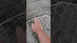 Fishing reel, Cast net fishing video Catch Tons of fish  Traditional Net Catch fish On River 3