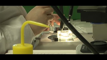 Lead the way with Life Sciences at Roehampton