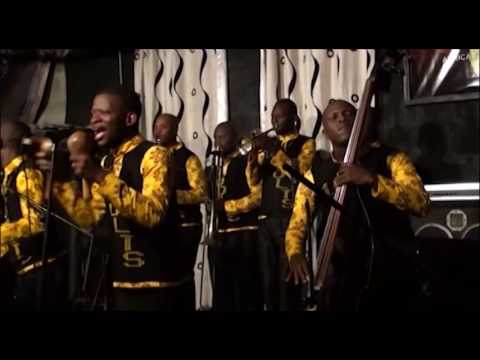 ORCHESTRE LES 10 VOLTS de Cotonou dans Rebellion
