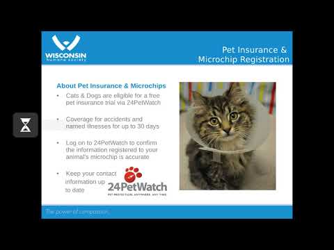 Wisconsin Humane Society Adoption Information Youtube