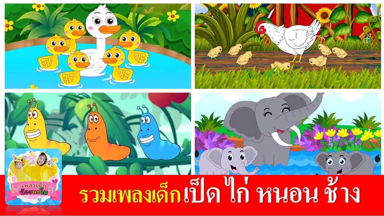 รวมเพลงเด็ก เป็ดอาบน้ำในคลอง ไก่กุ๊กกุ๊กไก่ หนอนผีเสื้อ  ช้างช้างช้าง