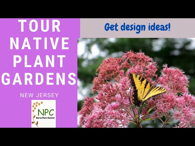 The Native Plant Society of New Jersey