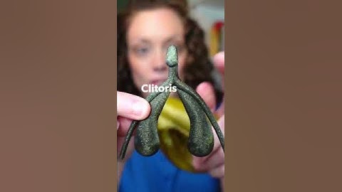 Did you know the clitoris looks like this?! #obgyn #shorts