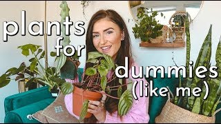 EASY PLANTS YOU WON'T KILL (because even I didn't) || Sarah Belle