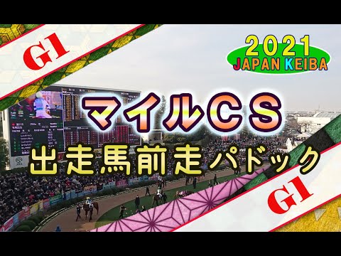 【競馬パドック】マイルCS・前走パドック（2021年）