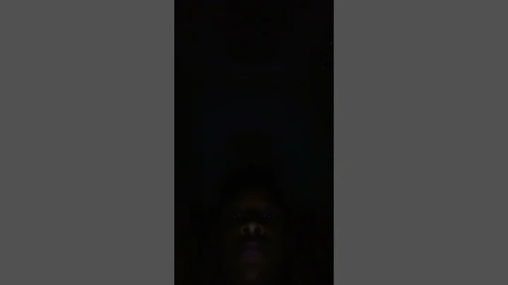 August 11, 2022