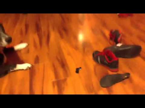 Battle of the champion pt. 1 camera iphone 8 plus apk