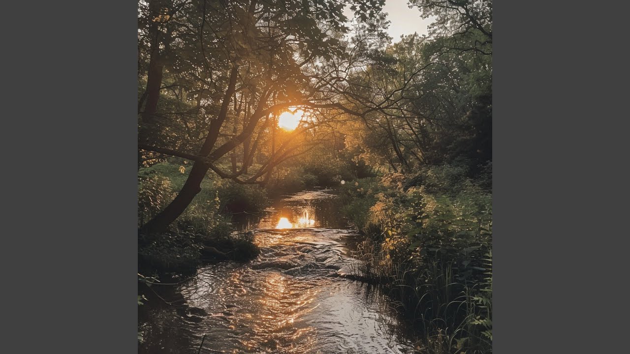 Vibración Zen Atemporal