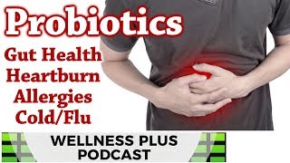 Clinical Nutritionist Explains Probiotics & How to Support Your Gut | Martie Whittekin