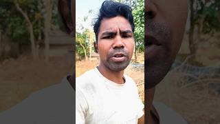 New Bird #shorts #ytshorts #youtubeshorts #viralshorts #viralvideo #birds #Deadbird#animals .