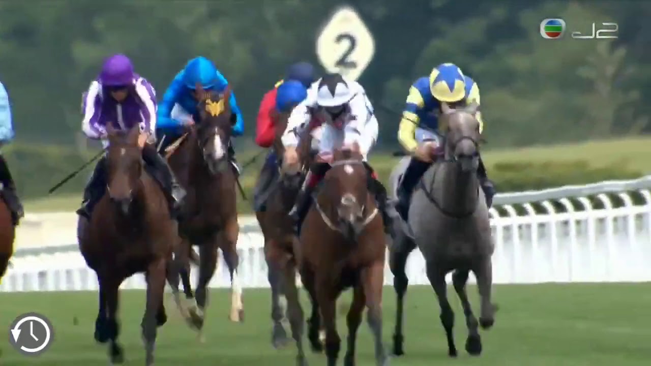 奧爾巴尼錦標 G3 Youtube 奧爾巴尼錦標 G3 Youtube