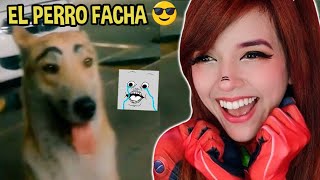 Motfrais Reacts to RANDOM MEMES #498