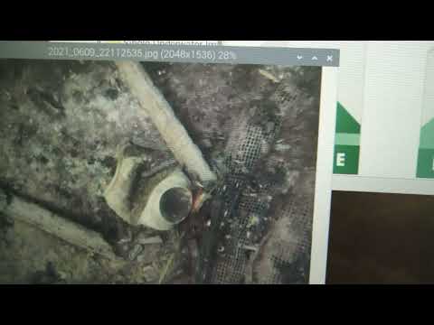 Image Processing on the Raspberry Pi