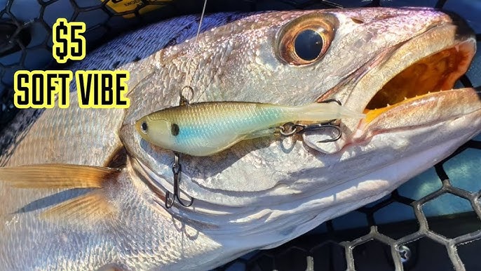 Lure Fishing With Soft Vibes & Soft Plastic Lures 