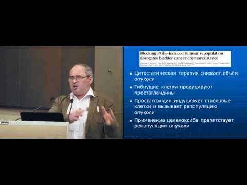 Видео: Опухолево-стромальные взаимодействия. Взаимная регуляция белков внеклеточного матрикса и активность стероидов яичников в молочной железе