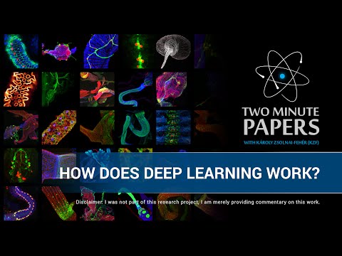 How Does Deep Learning Work? | Two Minute Papers #24