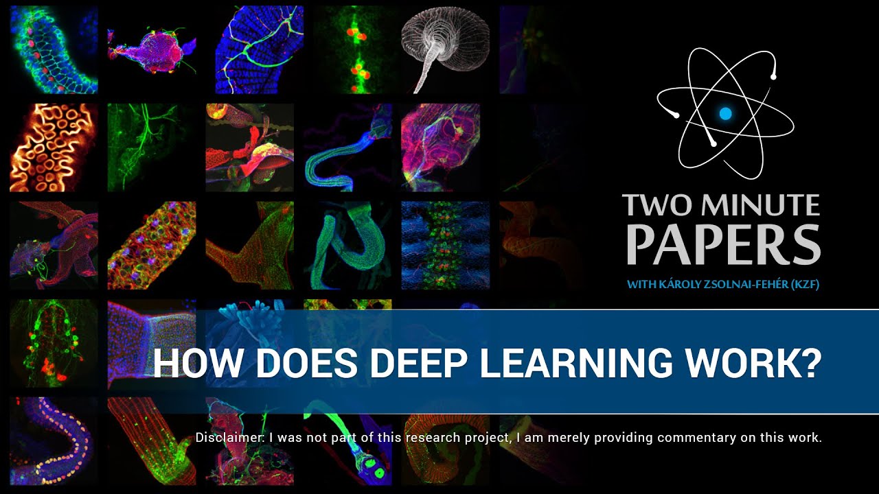 How Does Deep Learning Work? | Two Minute Papers #24