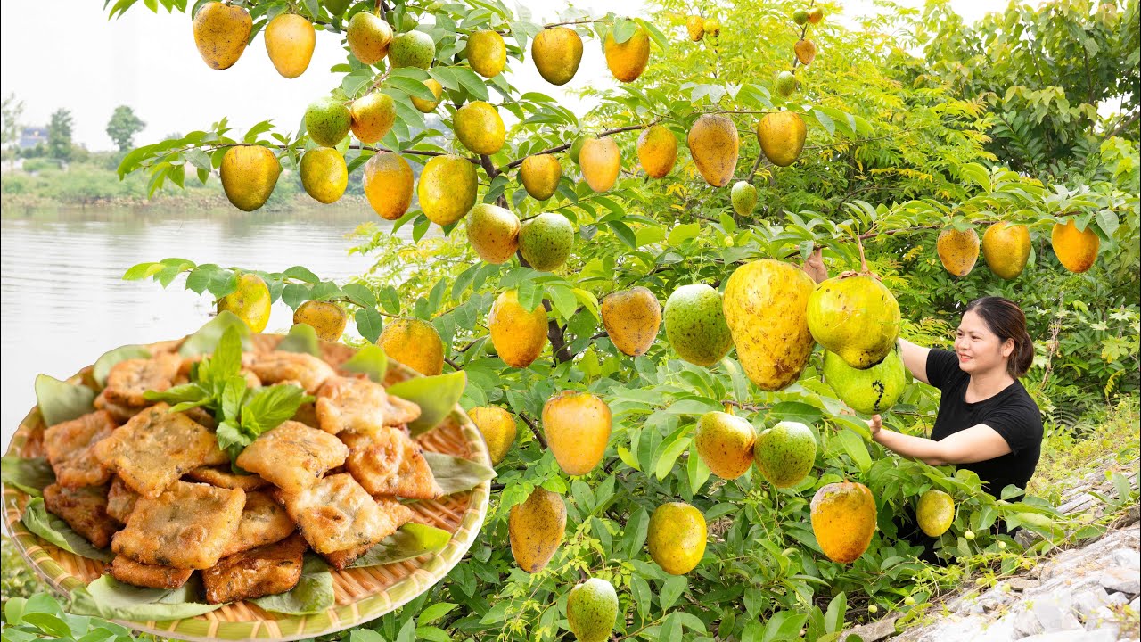 Harvesting riverside pond apple | Go to market sell | Happy cooking potato with lots of nice spices