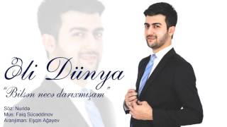 Ali Dunya - Bilsen nece Darixmisam Resimi